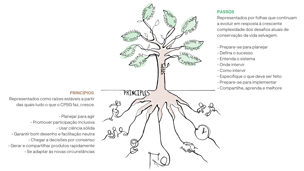 Princípios e Passos do CPSG
