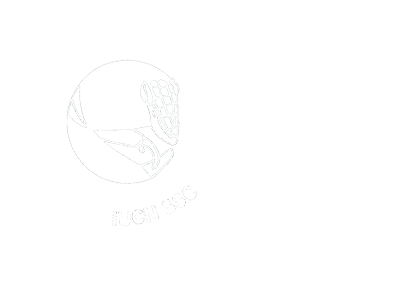 Logo CSE Brasil_branco