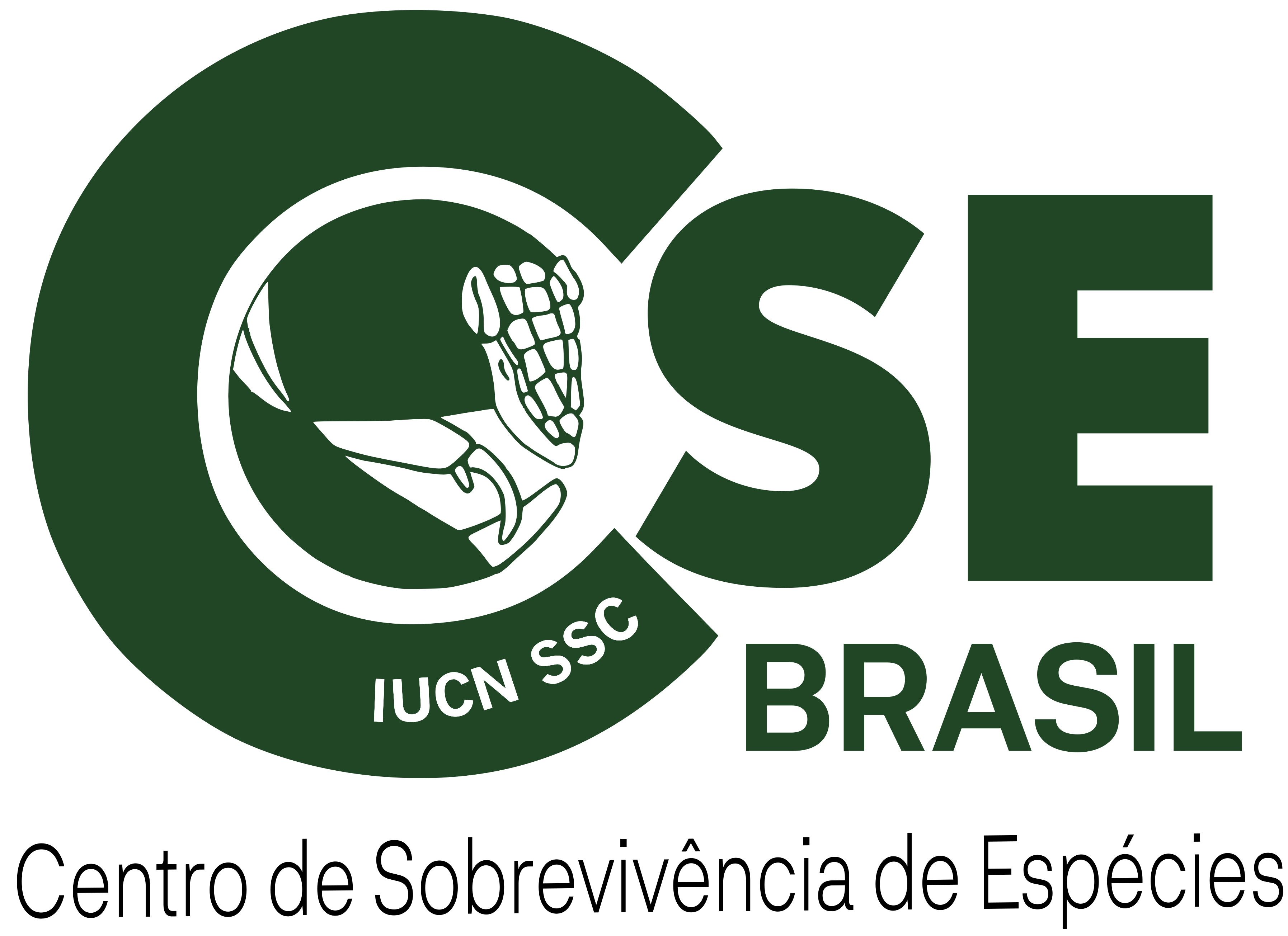 cropped-LOGO-CSE-BRASIL-FINAL-29.01.2021.png